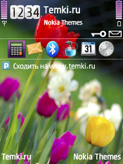 Цветы для Nokia E75