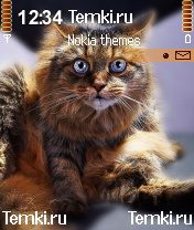 Синеглазый кот для Nokia 3230