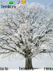 Снежное дерево для Nokia 208