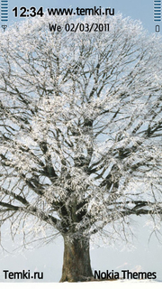 Снежное дерево для Nokia 500