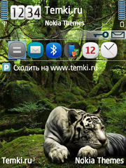 Тигр для Nokia N73