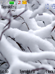 Ветви в снегу для Nokia 6208 Classic