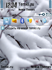 Ветви в снегу для Nokia 6700 Slide