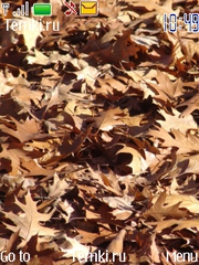 Сухие листья для Nokia 6275