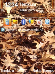 Сухие листья для Nokia N95
