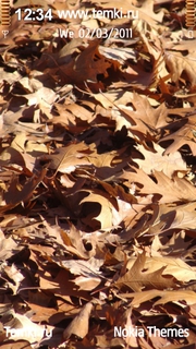 Сухие листья для Nokia 5228
