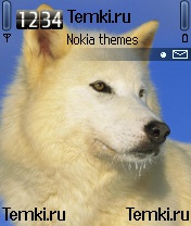 Волк для Nokia 7610