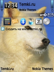 Волк для Nokia 5730 XpressMusic