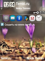 Цветы для Nokia E66