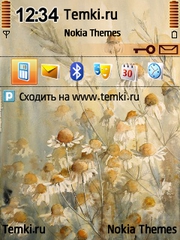 Ромашки для Nokia 5630 XpressMusic