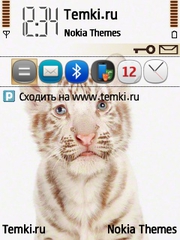 Тигренок для Nokia 6790 Slide