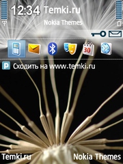 Одуванчик для Nokia N76