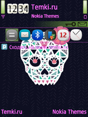 Черепушка для Nokia N77