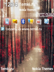 Твой путь для Nokia N96