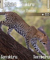 Еще немного для Nokia N90
