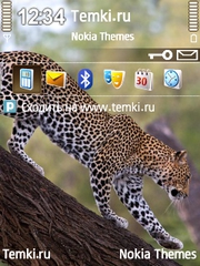 Еще немного для Nokia N78