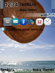 Соломенная шляпка для Nokia N71