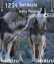 Двое  волков для Nokia 6620