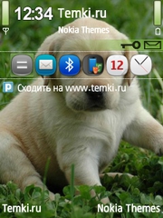 Щенок для Nokia N75