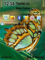 Желтая бабочка для Nokia 6730 classic
