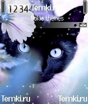 Черная кошка для Nokia 6670