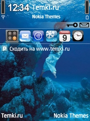 Оттолкнись для Nokia X5 TD-SCDMA