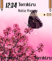 Лучшая тема на Нокиа для Nokia N72