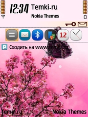 Лучшая тема на Нокиа для Nokia 6110 Navigator