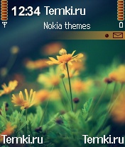 Цветы для Nokia 6600