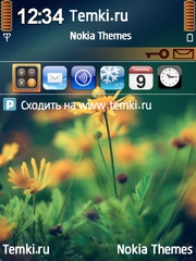 Цветы для Nokia N80