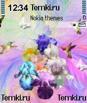Букет ирисов для Nokia 3230