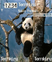 Ленивая панда для Nokia 6620