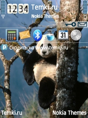 Ленивая панда для Nokia 5320 XpressMusic