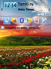 Поле Цветов для Nokia N78