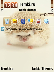 Еж для Nokia 6790 Slide