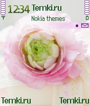 Пион для Nokia N90