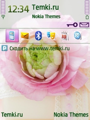 Пион для Nokia E62