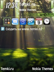 Летний день для Nokia N91