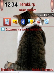 Истинная любовь для Nokia N93i