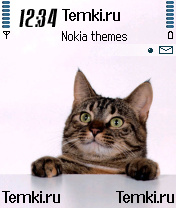 Кошки для Nokia N72