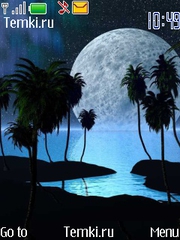 Скриншот №1 для темы Пальмы и луна