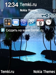 Пальмы и луна для Nokia E5-00