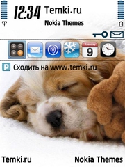 Щеночек спит для Nokia N77