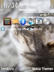 Кошка для Nokia 6121 Classic
