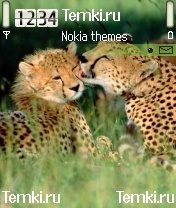 Звериная нежность для Nokia N72