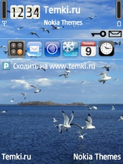 Чайки для Nokia E90