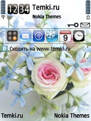 Нежные цветы для Nokia E63