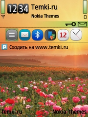 Цветочное поле для Nokia N91