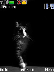 Котенок в темноте для Nokia Asha 310