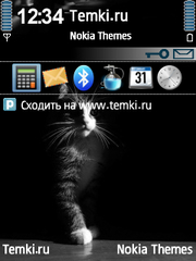 Котенок в темноте для Nokia N73
